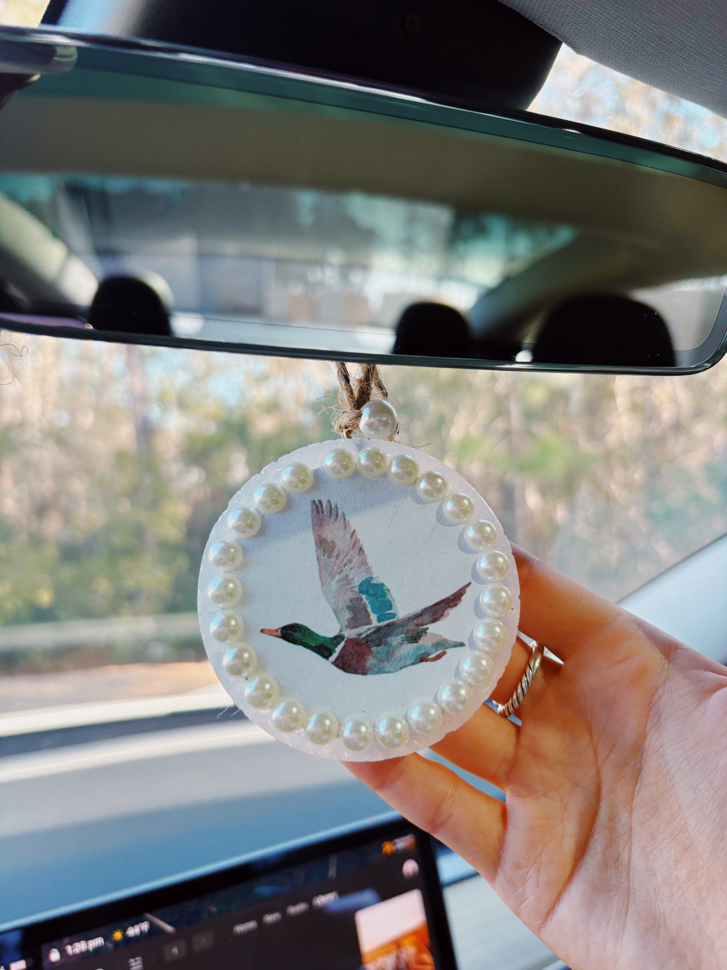 Mallard Duck Freshie