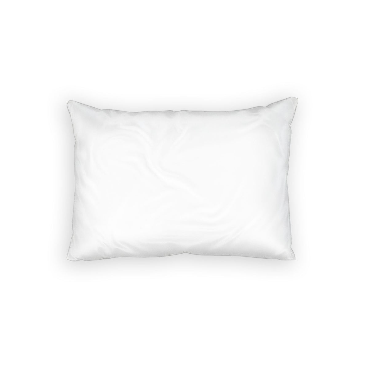 Mallard Duck Confetti Watercolor Pillow Sham