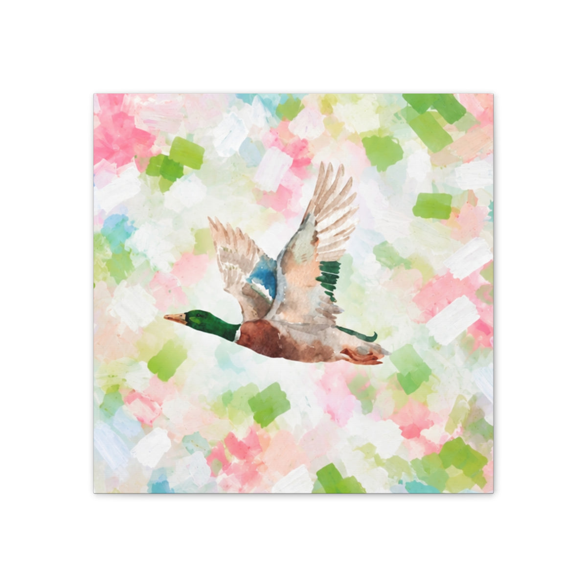 Mallard Duck Confetti - Watercolor Canvas Print