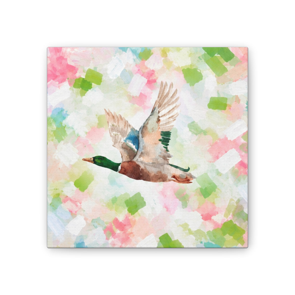 Mallard Duck Confetti - Watercolor Canvas Print