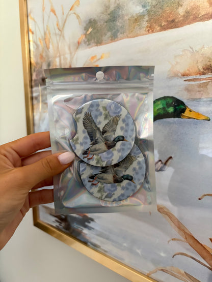 LSF Duck Car Coasters - Blue