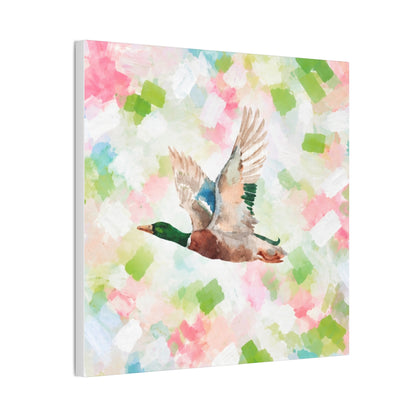 Mallard Duck Confetti - Watercolor Canvas Print