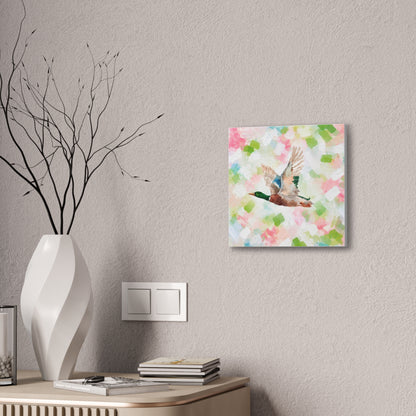 Mallard Duck Confetti - Watercolor Canvas Print
