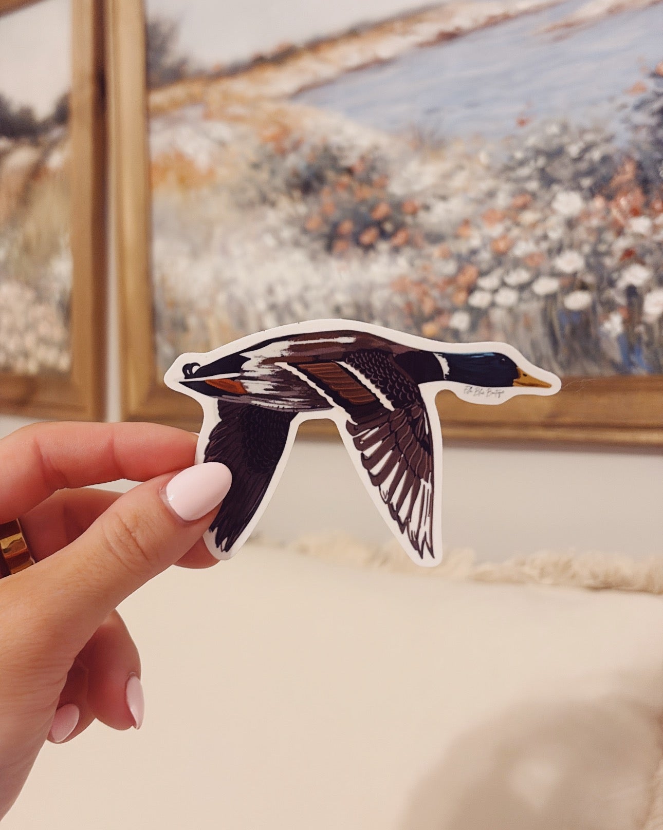 Mallard Duck Sticker