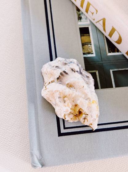 Mini Bow Oyster Shell Dish